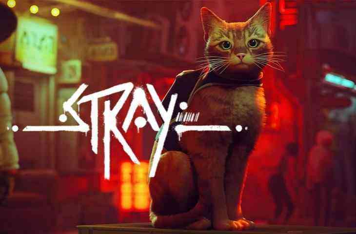 Stray