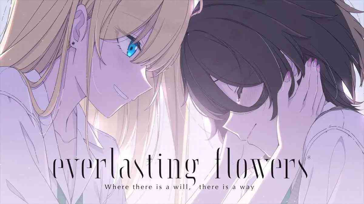 everlasting flowers