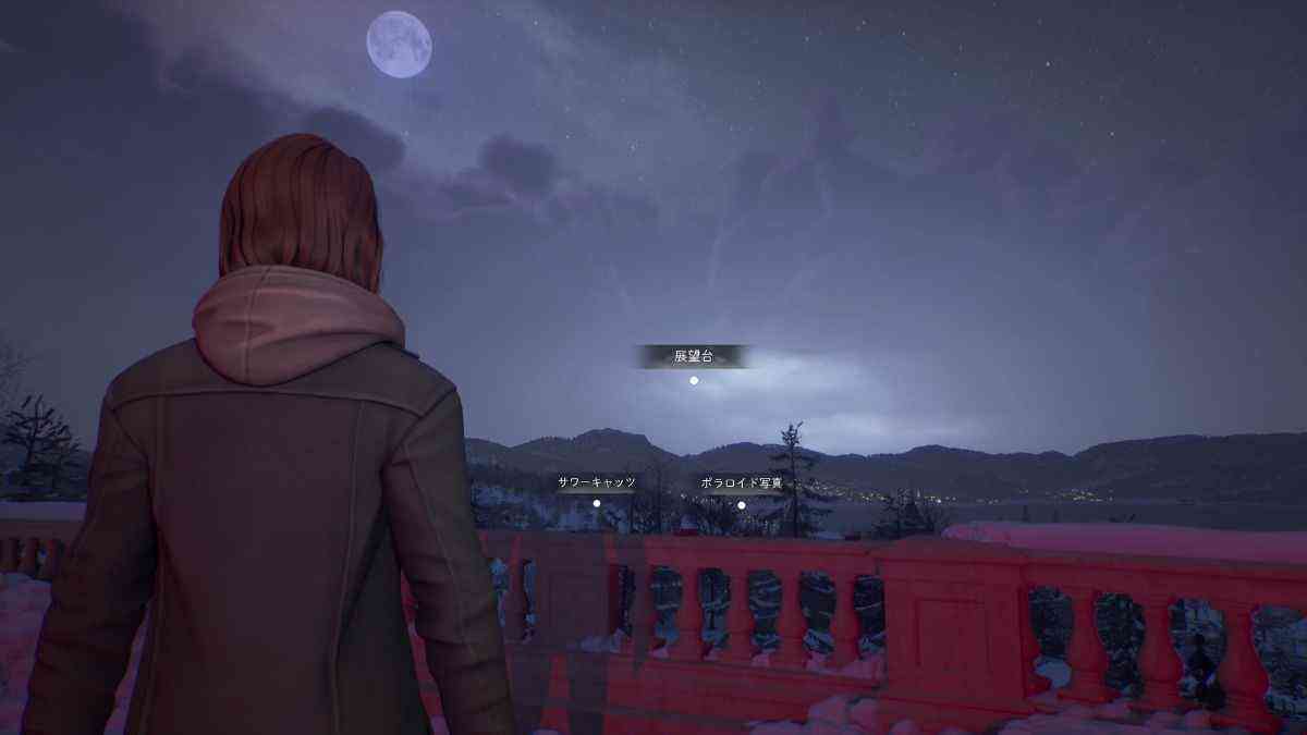 ゲーム中画像