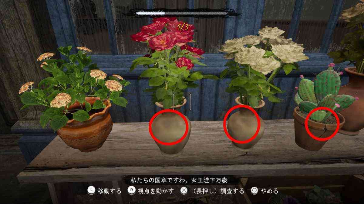 花屋の花