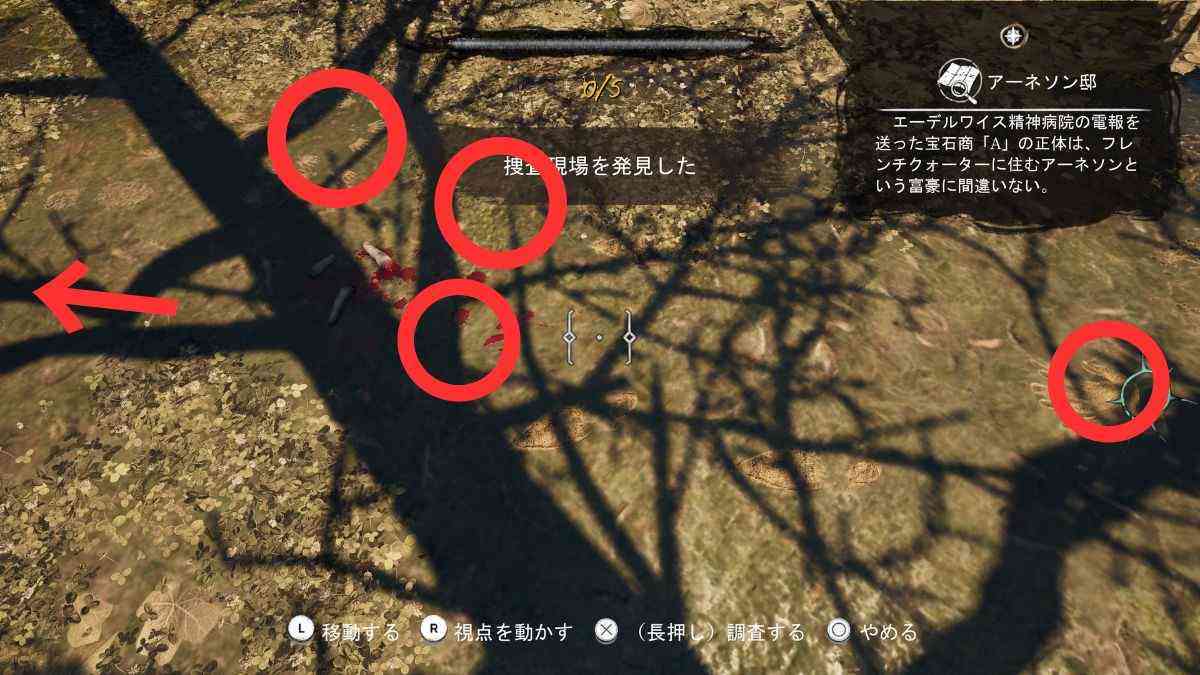 木の根の奥